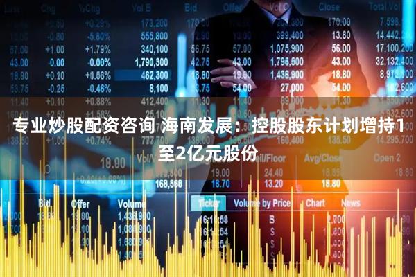 专业炒股配资咨询 海南发展：控股股东计划增持1至2亿元股份