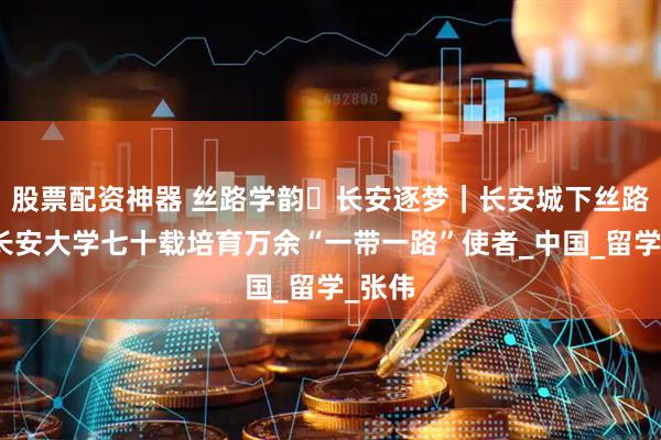 股票配资神器 丝路学韵・长安逐梦｜长安城下丝路桥：长安大学七十载培育万余“一带一路”使者_中国_留学_张伟