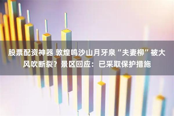 股票配资神器 敦煌鸣沙山月牙泉“夫妻柳”被大风吹断裂？景区回应：已采取保护措施