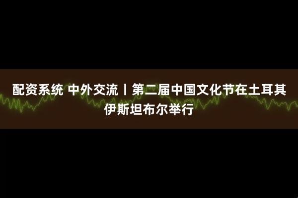 配资系统 中外交流丨第二届中国文化节在土耳其伊斯坦布尔举行