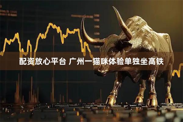 配资放心平台 广州一猫咪体验单独坐高铁